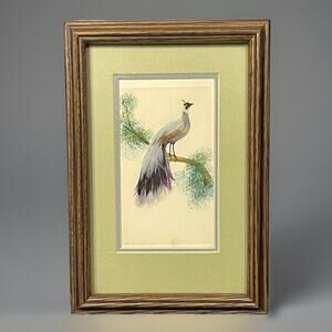 Vintage Feather Bird Wall Art Mid Century Framed White & Purple Long Tail